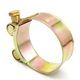European style heavy duty hose clamps